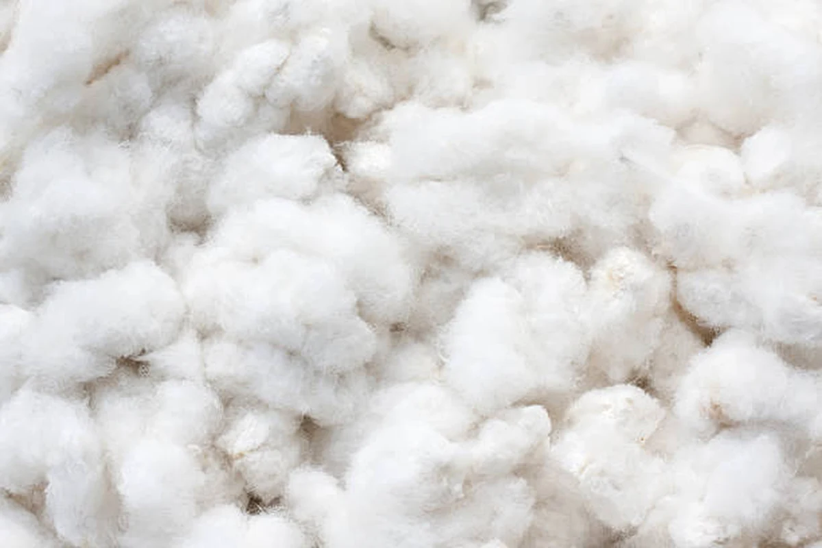 Cotton fabric
